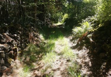 Trail Walking Pontgibaud - Pontgibaud. Peschadoire  - Photo