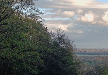 Tocht Stappen Sancé - sennecey-lès-mâcon - Photo