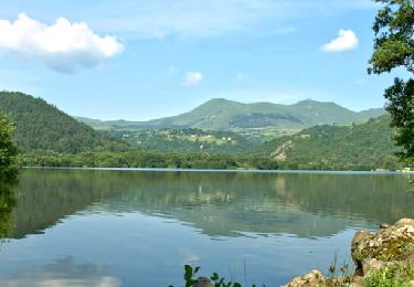 Trail Walking Murol - Chambon_Lac_Murol - Photo