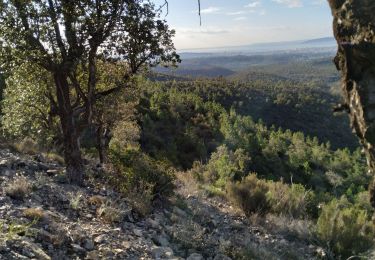 Trail Walking Fréjus - vallonde barban  - Photo