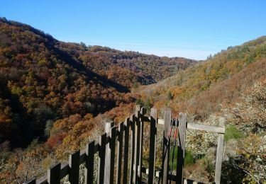 Trail Nordic walking Saint-Georges-de-Mons - Genestouse Le vallon de la Viouze - Photo