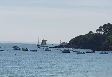 Randonnée V.T.T. Saint-Coulomb - STC - 19-05-2025 - Photo