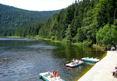 Tocht Te voet Bayerisch Eisenstein - 9 Bodenmais - Arbersee - Photo