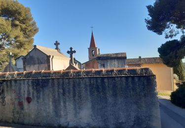 Tour Wandern Le Castellet - Roche Redonne  - Photo