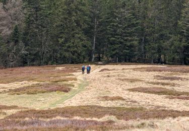 Tour Wandern Woll - 2023-04-15 Marche Abri Collet de Etang vers Abri Lac de Blanchemer - Photo