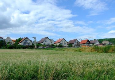 Randonnée A pied Račice - [Ž] Račice - Pod Beraníkem - Photo