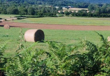 Tocht Stappen Volvic - Egaules  - Photo