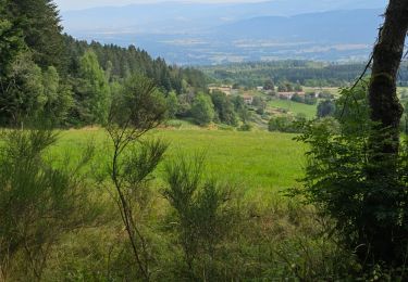 Tour Wandern La Chaise-Dieu - La Chaise-Dieu, Malvières, Folgoux, (boucle)  - Photo