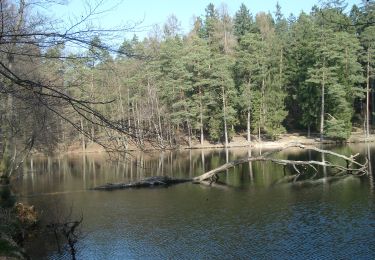 Excursión A pie Flörsbachtal - Spessartspuren - Wiesbüttmoor und Flörsbacher Panorama - Photo