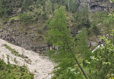 Trail Walking Cortina d'Ampezzo - lac de sorapis 17.5km 880m - Photo