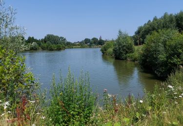 Excursión Senderismo Braine-l'Alleud - Braine - L'Alleud _ Marche Privée  - Photo