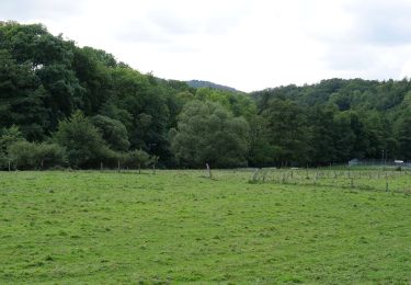 Tocht Te voet Heimbach - Heimbacher Burgen - Photo