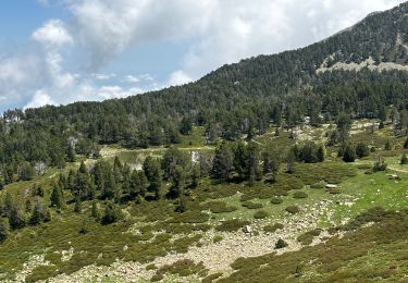Trail sport Taurinya - Canigou par la « cheminée » - Photo