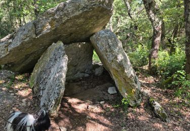 Randonnée Marche Barjac - Barjac Dolmen par le sentier découverte  - Photo