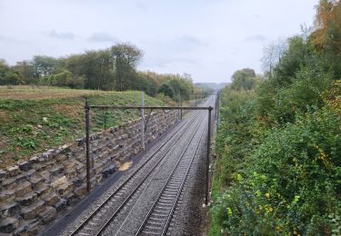 Tocht Stappen La Bruyère - Rhisnes 121023 - Photo