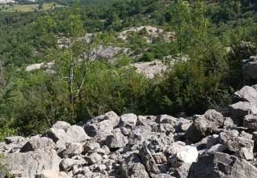 Tour Pfad Noyers-sur-Jabron - Tour de Pellegrine - Photo