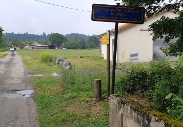 Excursión Senderismo Pimbo - ARZACQ / LOUVIGNY collecte 