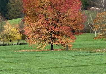 Randonnée Marche Chaumont-Gistoux - Bois de Dion  - Photo