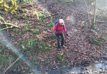 Tocht Stappen Salies-de-Béarn - salies de béarn G4  - Photo