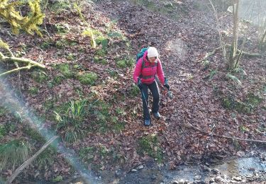 Trail Walking Salies-de-Béarn - salies de béarn G4  - Photo