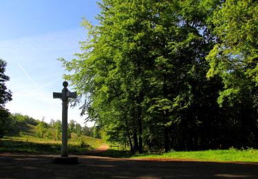 Tocht Stappen Saint-Crépin-aux-Bois - en forêt de Laigue_11_06_2021_Quennezil_les Croisettes_les Ponteaux - Photo