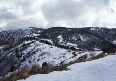 Tocht Te voet Genua - Fabbriche - Passo del faiallo - Photo