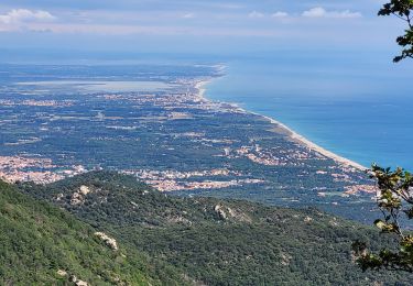 Tocht Stappen Collioure - El Rimbau Chemin de l'eau Massane_T - Photo