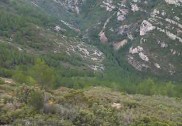 Trail Walking Gémenos - st jean de garguier - Photo