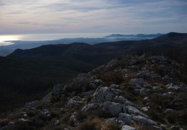 Tocht Stappen Le Broc - Mouton d'Anou par le Broc - Photo