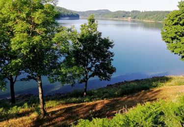Trail Walking Nages - Lac du Laouzas du Camping des Fées du Lac à Villelongue - Photo