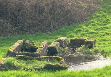 Tocht Stappen Plassac-Rouffiac - PlassacRouffiac - Photo