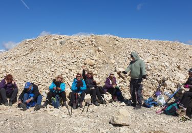 Tour Wandern Bédoin - Mont ventoux  - Photo