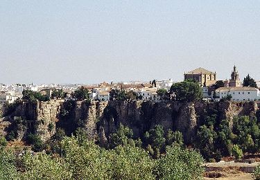 Excursión A pie Ronda - SL-A 40: Ronda - Tajo del Abanico - Photo