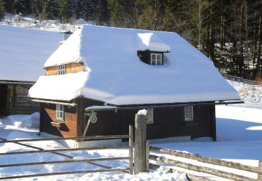 Tour Zu Fuß Krieglach - Waldheimatweg - Photo