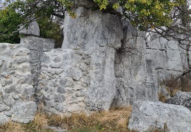 Excursión Senderismo Coursegoules - St Barnabé  - Photo