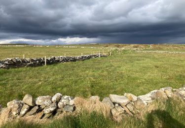 Tour Wandern West Clare Municipal District - Cliffs of Moher - Photo