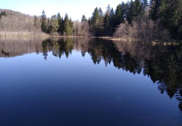 Tour Wandern Sainte-Marie-en-Chanois - circuit des 2 chapelles amage - Photo