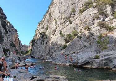 Tocht Stappen Tautavel - les gorges . tautavel par les vignes  ..  retour par la vallée - Photo