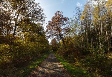 Tour Zu Fuß Mandern - Mandern 1 - Photo