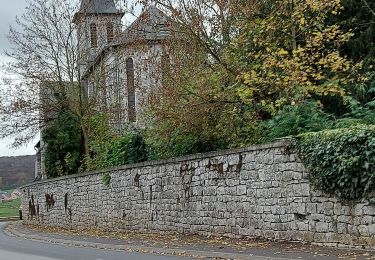 Randonnée Marche Namur - marche Nannine - Photo