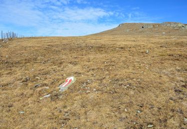 Tocht Te voet Albeck - Speikkofel - Photo