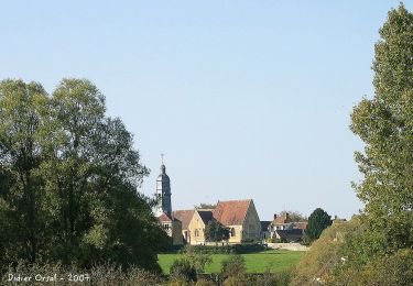 Tour Wandern Bellême - Bellême - Saint-Cyr-la-Rosière 13 km - Photo