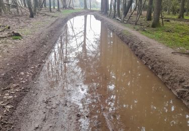 Tocht Stappen Bièvre - Marche ADEPS 10KM400 à Graide. - Photo