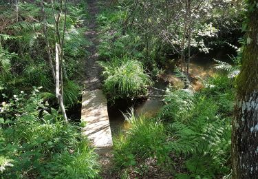 Tocht Stappen Rion-des-Landes - Perrin, Coq, Le Borde, le moulin, Bidaou, Peyrot, Trapot - 9.2 - Photo