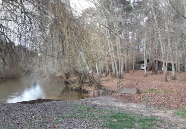 Tour Wandern Mios - MIOS PARCOURS DE SANTÉ  - Photo