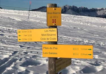 Trail Snowshoes Hauteluce - Les Saisies- Croix de Coste - Bizanne - 11.6km - 5h - Photo