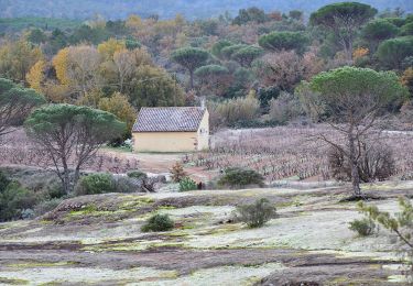 Randonnée Marche Le Cannet-des-Maures - La Garde Freinet par le Pont Romain - Photo