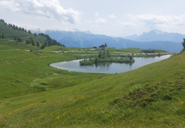 Tocht Stappen Verchaix - col de joux plane - Photo