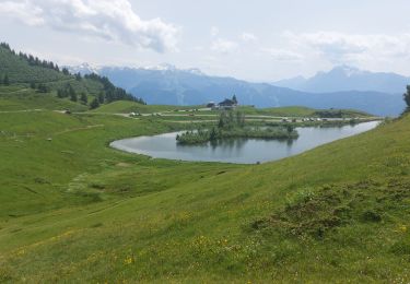 Trail Walking Verchaix - col de joux plane - Photo