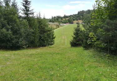 Tour Zu Fuß Nový Hrozenkov - Velka- Studanky - Photo